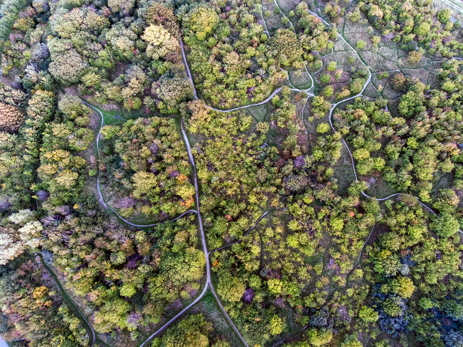 fotograf i malmö